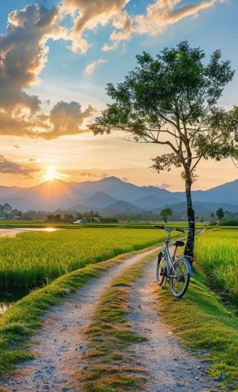 주소 킹 주소북